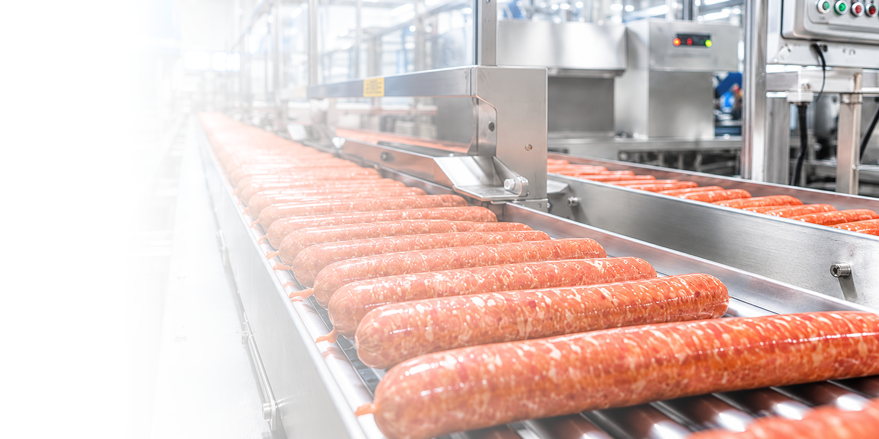 Machine vision inspection on a food production line